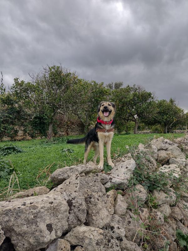 Ciao a tutti da Remì (Catania) Foto 11